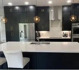 Onyx Black Shaker Onyx Black Shaker