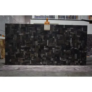 Black Petrified Wood Retro Black Petrified Wood Retro