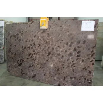 Fossil Brown Granite 3CM