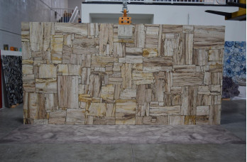 Brown Petrified Wood Brushed Retro