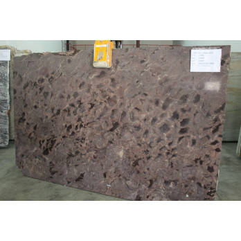 Fossil Brown Granite 3CM Fossil Brown Granite 3CM